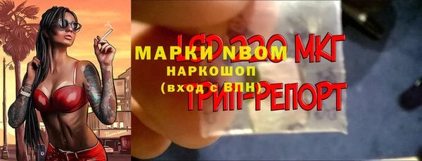 МДПВ Алзамай