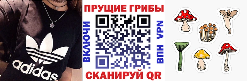 omg ONION  что такое   Саранск  Галлюциногенные грибы мицелий 