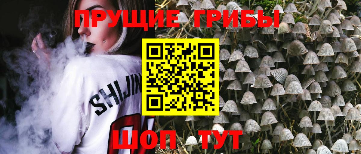 Псилоцибиновые грибы ЛСД  Псилоцибиновые грибы мухоморы  Саранск  Вход с VPN 