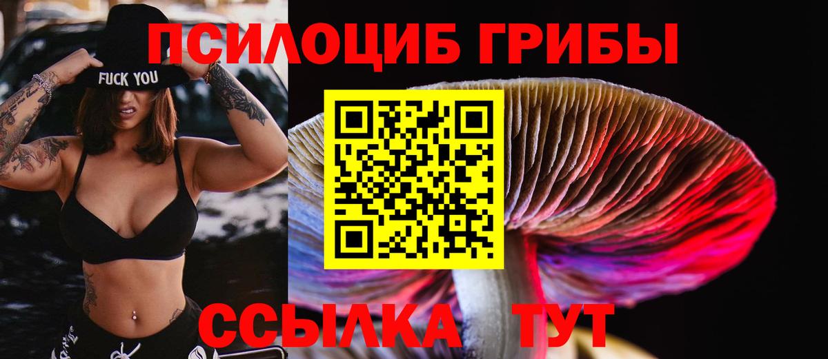 Псилоцибиновые грибы Psilocybine cubensis Саранск